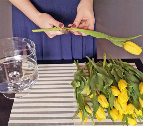 Co zrobić żeby tulipany szybko nie zwiędły?