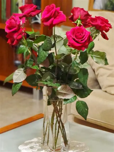Jak dbać o cięte róże?