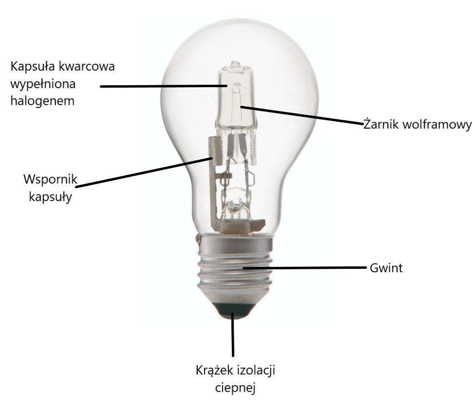 Jak działa lampa halogenowa?
