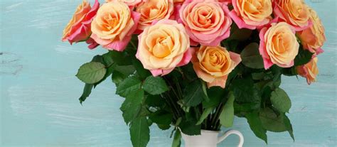 Jak przedłużyć trwałość ciętych róż w wazonie?