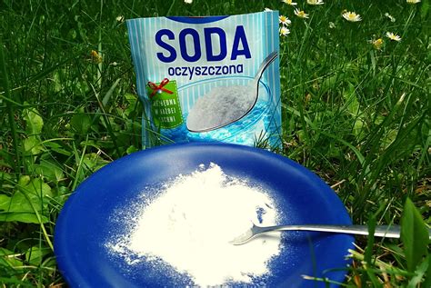 Na co pomaga soda oczyszczona w ogrodzie?