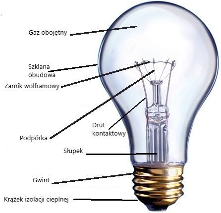 Z czego składa się żarówka LED?