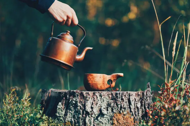 Z jakich liści można zrobić herbatę?